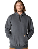 Carhartt RainD Paxton Heavyweight Hoody