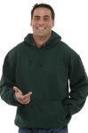 Arctic Wear Adult Hoodie