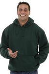 Arctic Wear Adult Hoodie