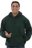 Arctic Wear Adult Hoodie